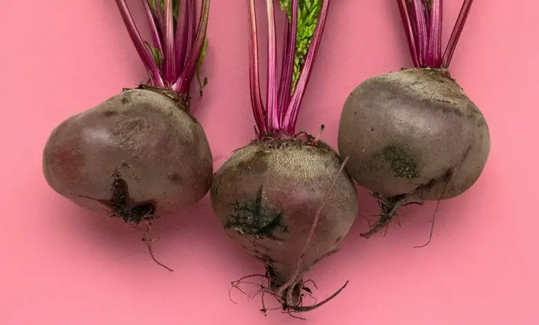 Beet Flow, What Is It & 5 Other Solutions For Sluggish Bile Flow