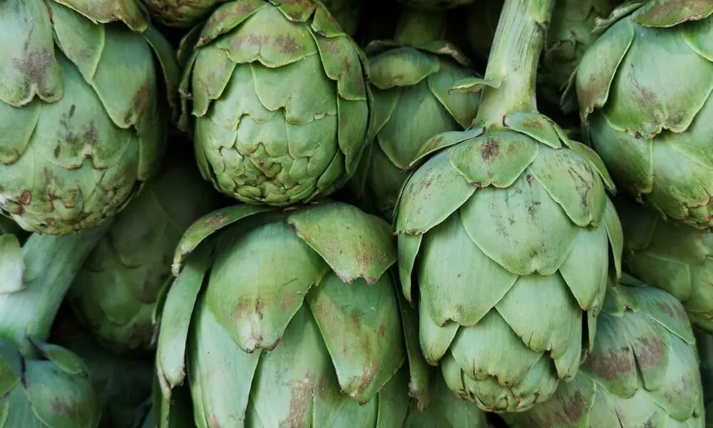 artichokes to lower cholesterol