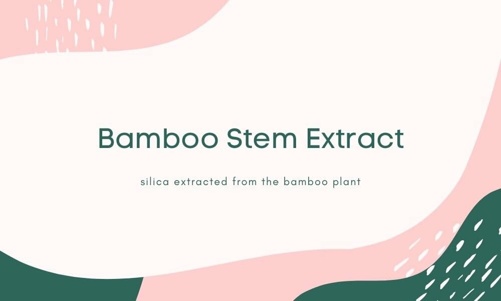 Bamboo Stem Extract