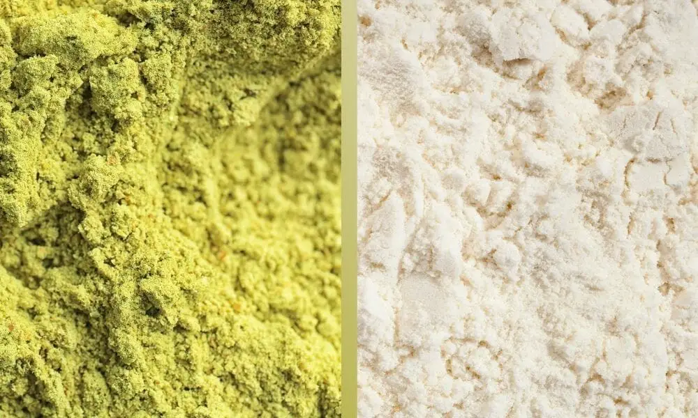 Hemp Protein vs Whey Protein