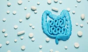 Probiotic Supplements For A Leaky Gut
