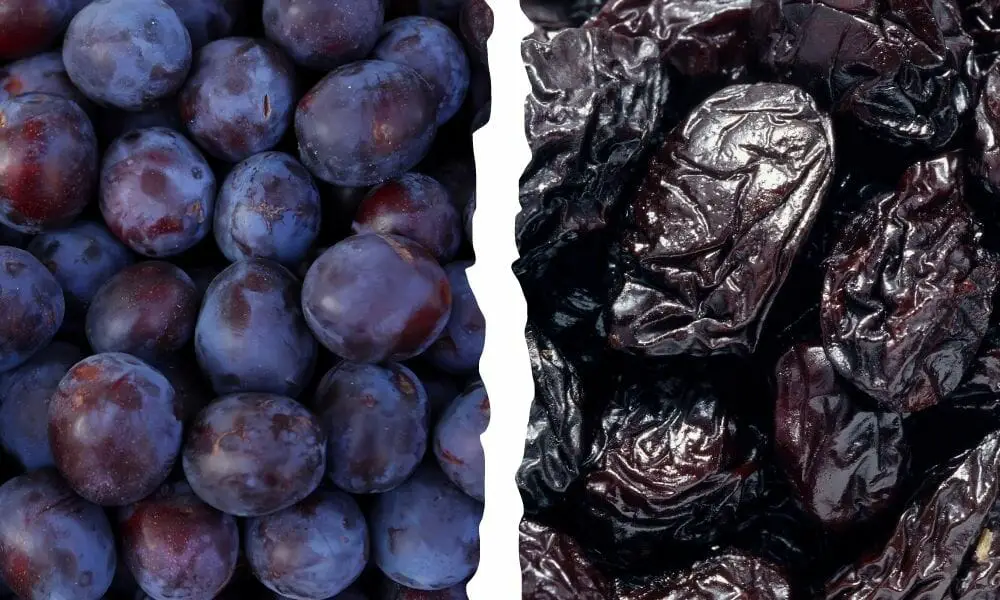 Prunes Vs Plums