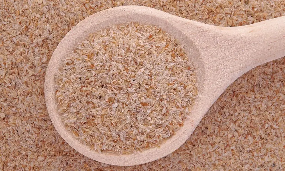 psyllium supplement for cholesterol