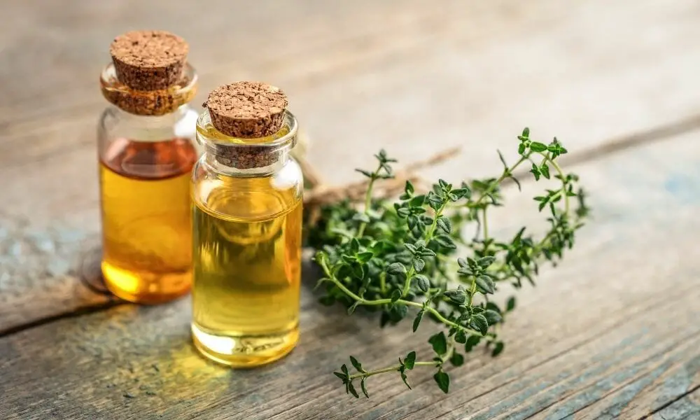 thyme essential oil for sore throat