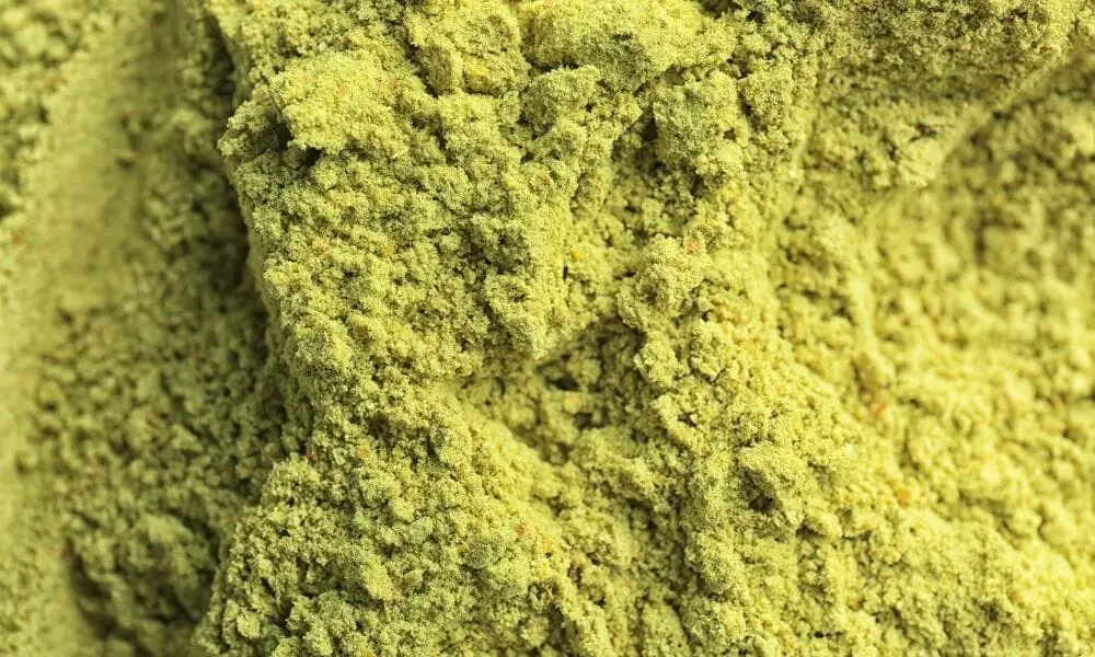 What Is Hemp Protein