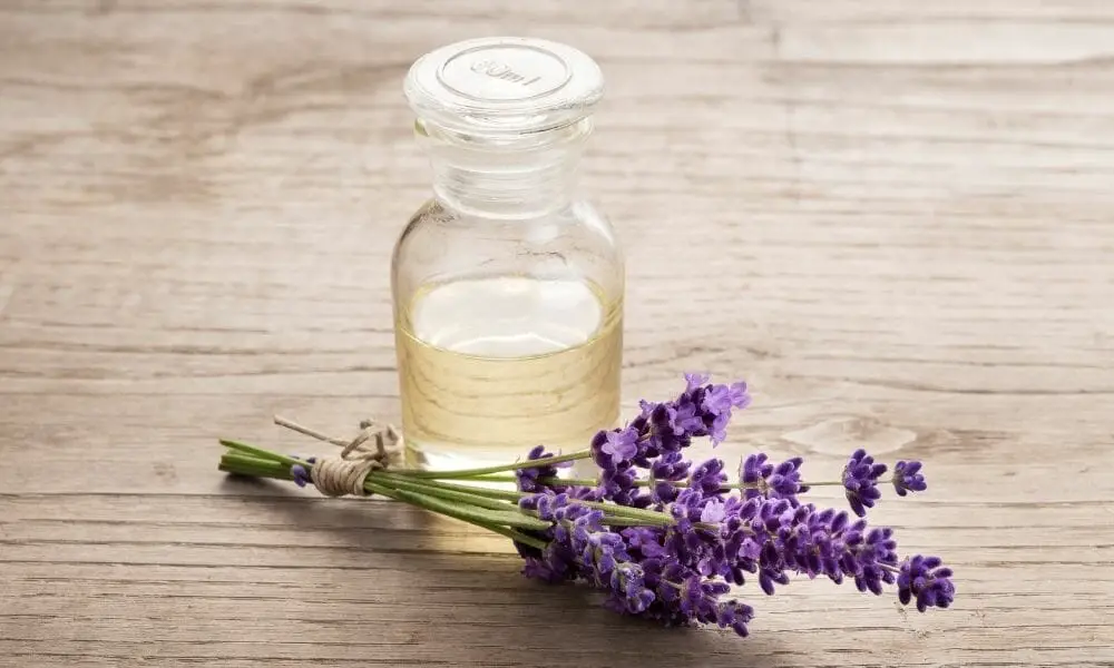 Lavender Essential Oil