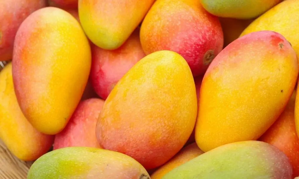 Mangos