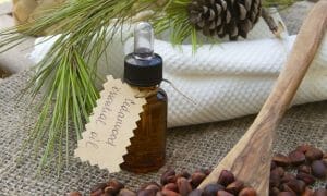 Cedarwood Essential Oils For Sleep