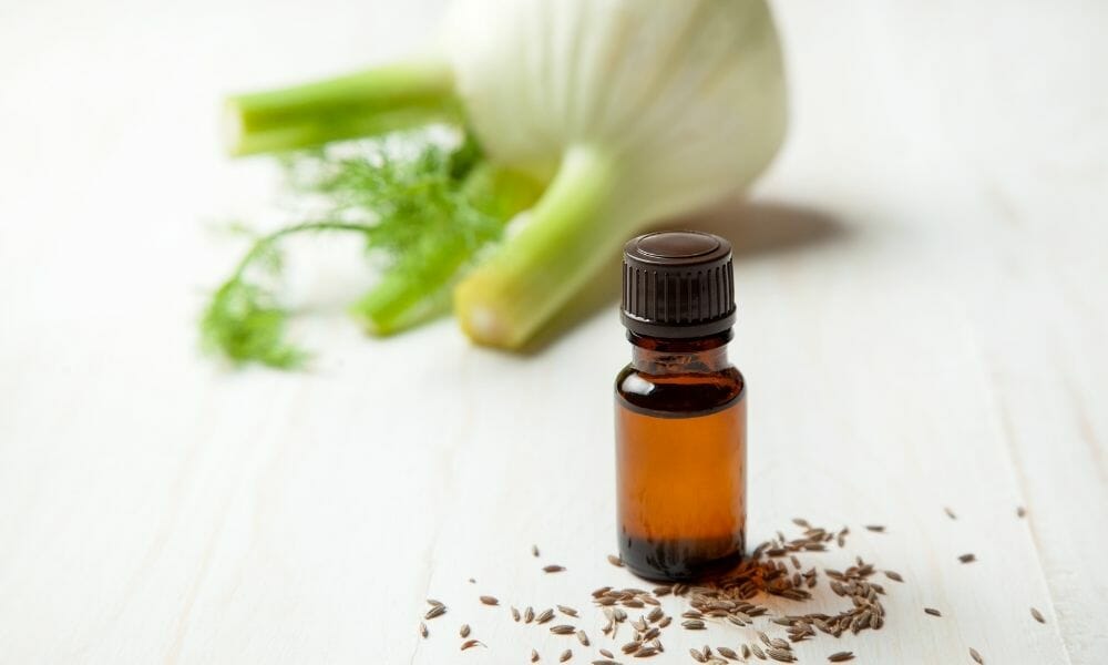 Fennel Oil