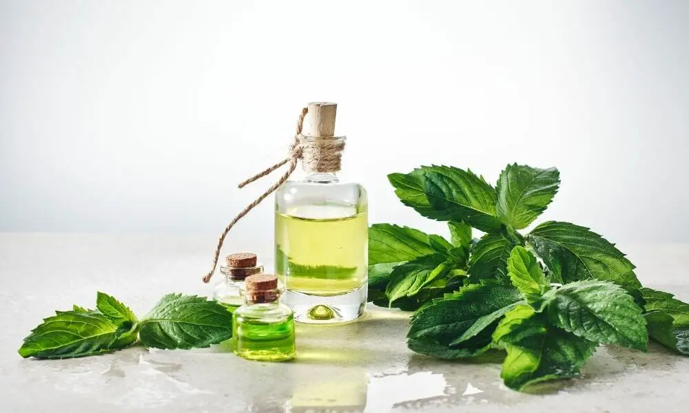 Peppermint Essential Oil