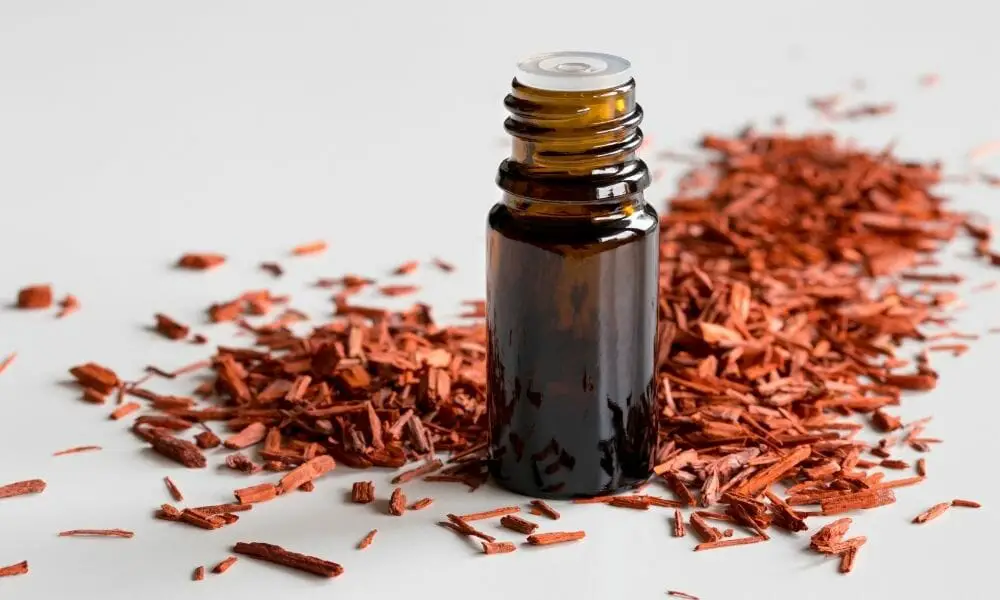 Sandalwood Essential Oils For Sleep Apnea