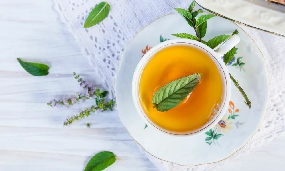 Second Best Tea for Sore Throat - Peppermint Tea