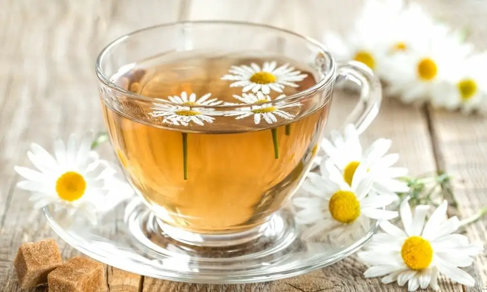 Third Best Tea for Sore Throat - Chamomile Tea