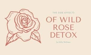 Wild Rose Side Effects Detox