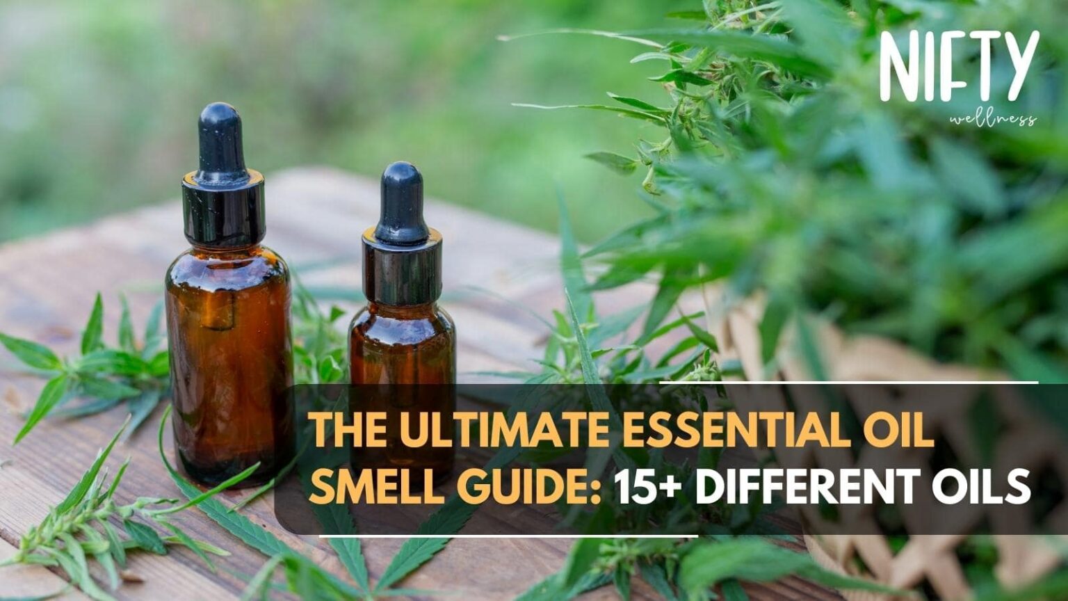 The Ultimate Essential Oil Smell Guide - Nifty Wellness