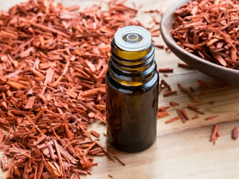 What Is Sandalwood Essential Oil