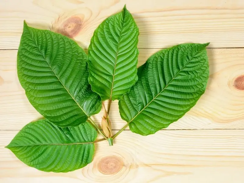 What is kratom