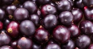 acai berry benefits thumbnail