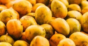 chesa fruits canistel fruit health benefits