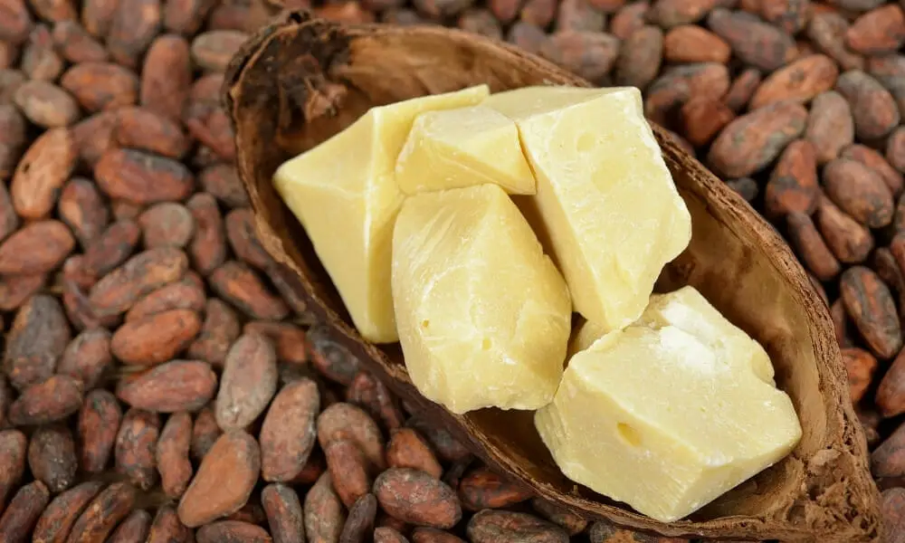 kokum butter vs cocoa butter