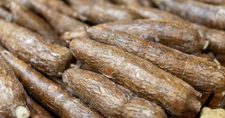 yucca root benefits