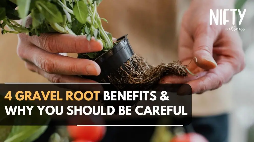 gravel root benefits