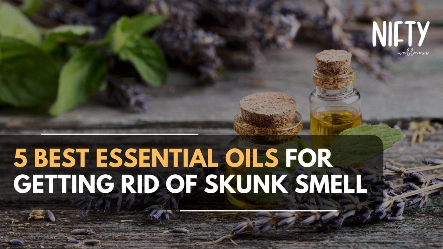 Top 5 Essential Oils for Skunk Smell Nifty Wellness