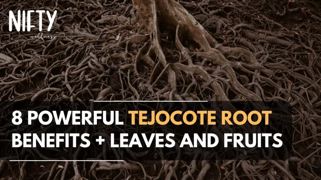 tejocote root benefits