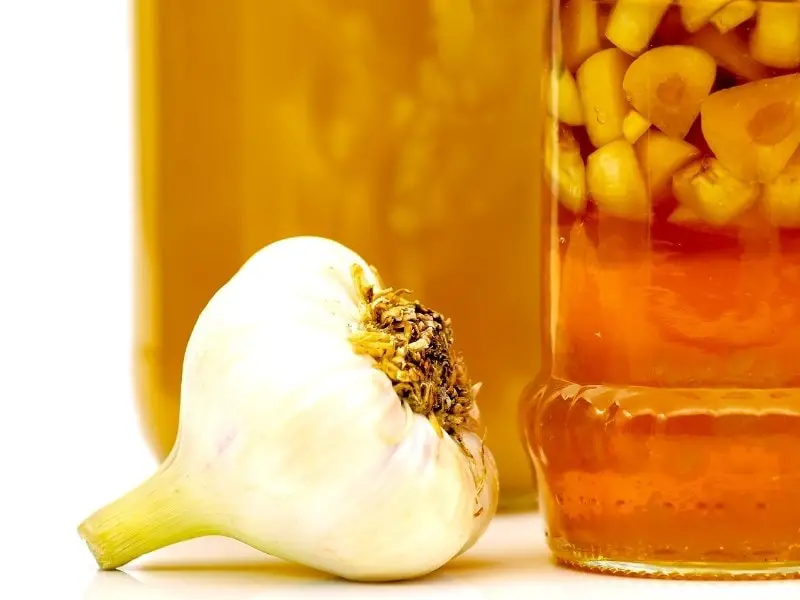 Garlic And Honey Benefits