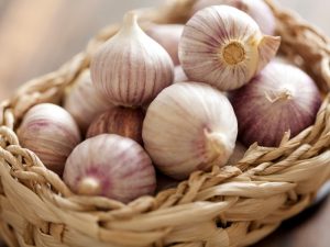 What Is Chinese Garlic