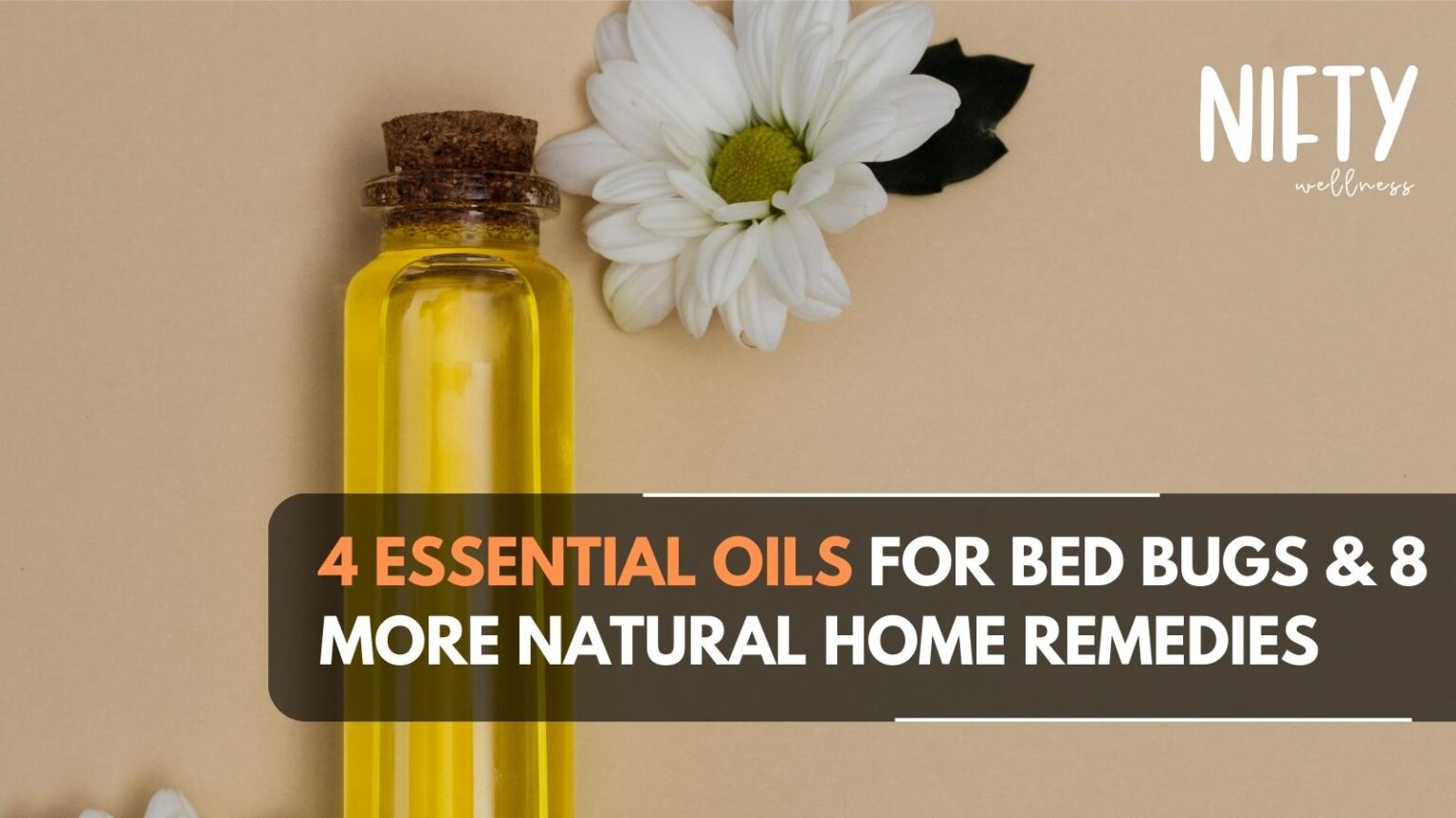 4 Essential Oils For Bed Bugs Ultimate Guide Nifty Wellness