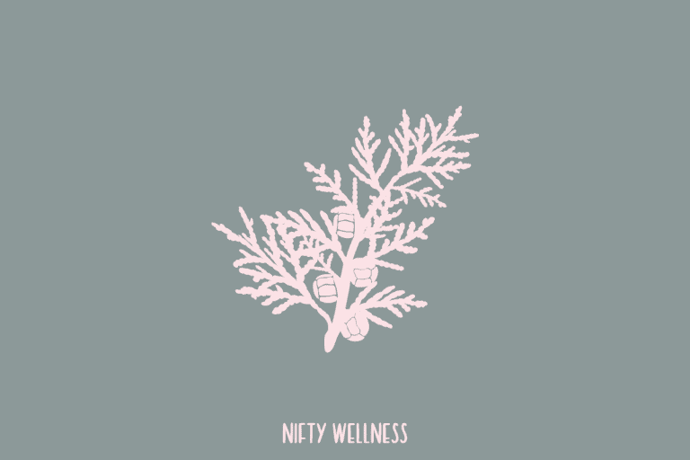 Top 5 Essential Oils For Bedwetting Nifty Wellness