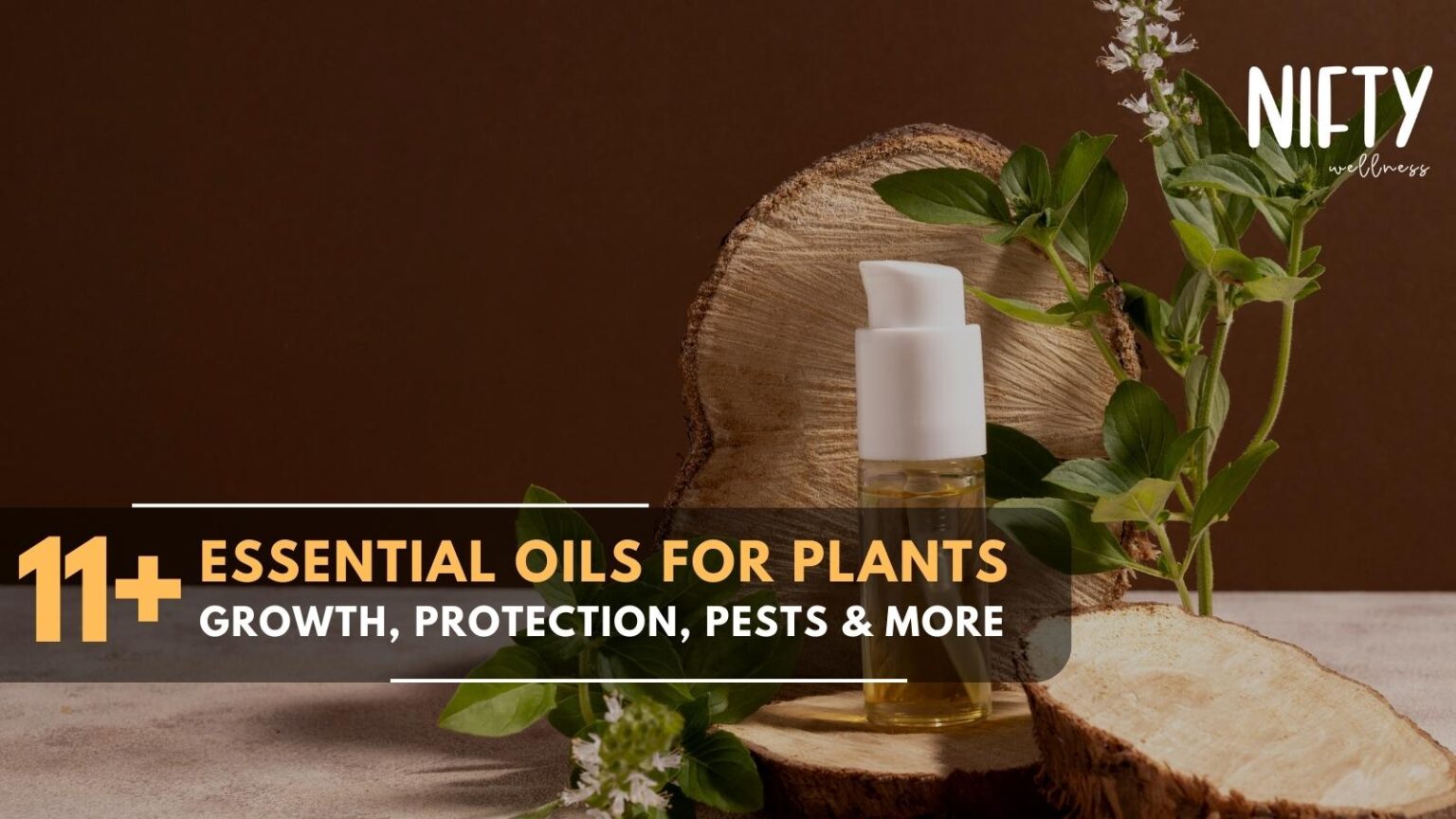 11+ Essential Oils For Plants Growth & More Nifty Wellness