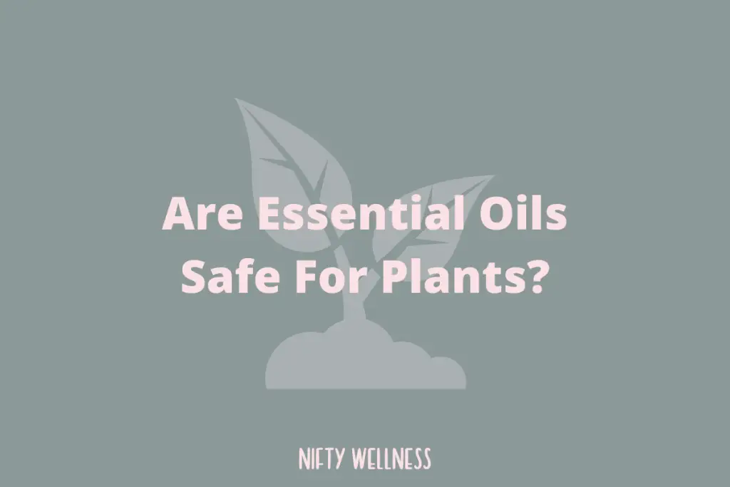 Are Essential Oils Safe For Plants