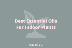 Best Essential Oils For Indoor Plants