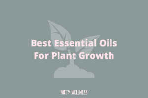 Best Essential Oils For Plant Growth