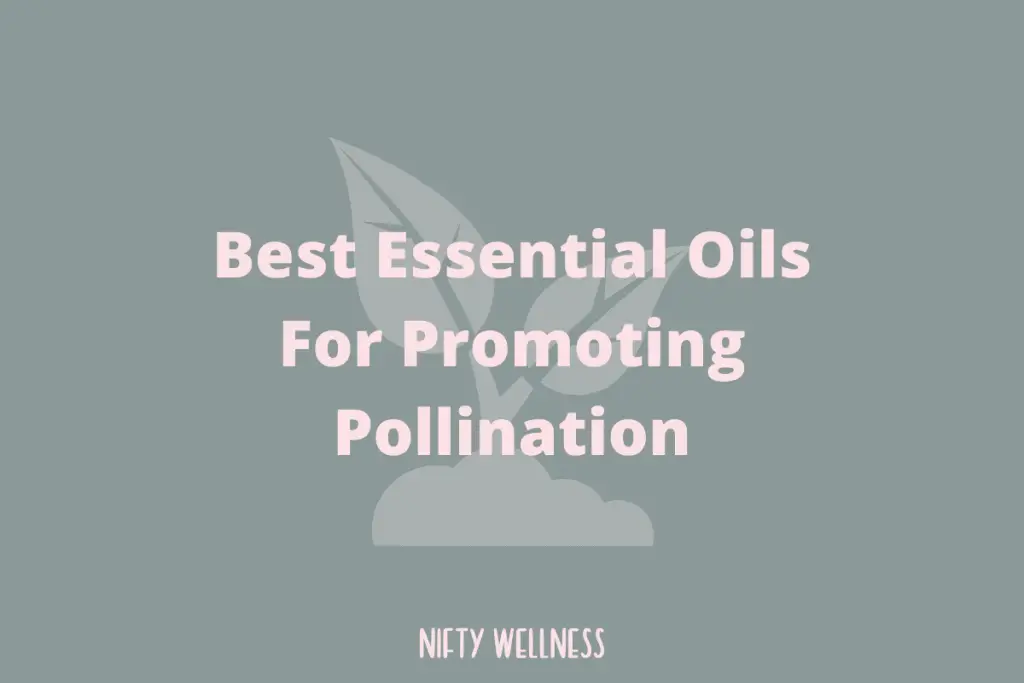 Best Essential Oils For Promoting Pollination