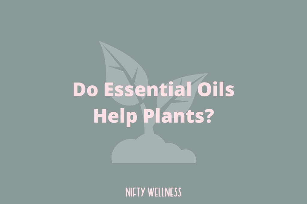 Do Essential Oils Help Plants