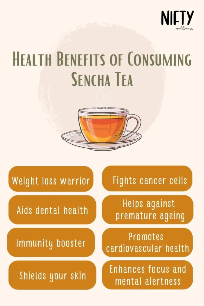 Health Benefits Of Consuming Sencha Tea