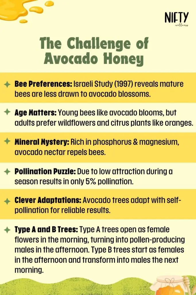 The Challenge of Avocado Honey
