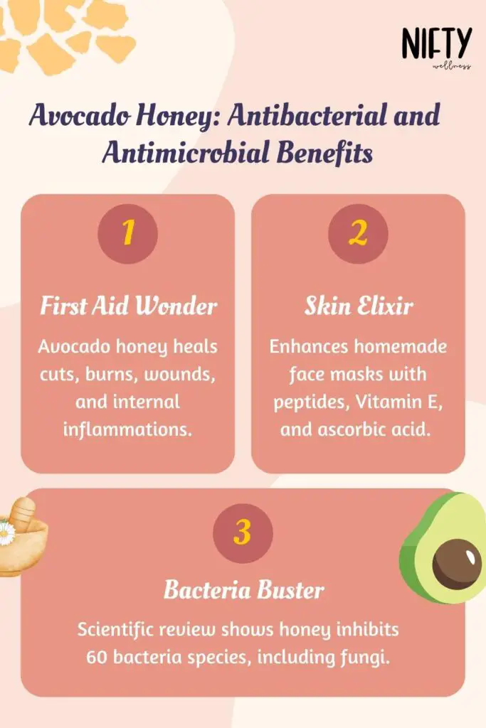 Avocado Honey: Antibacterial and Antimicrobial Benefits
