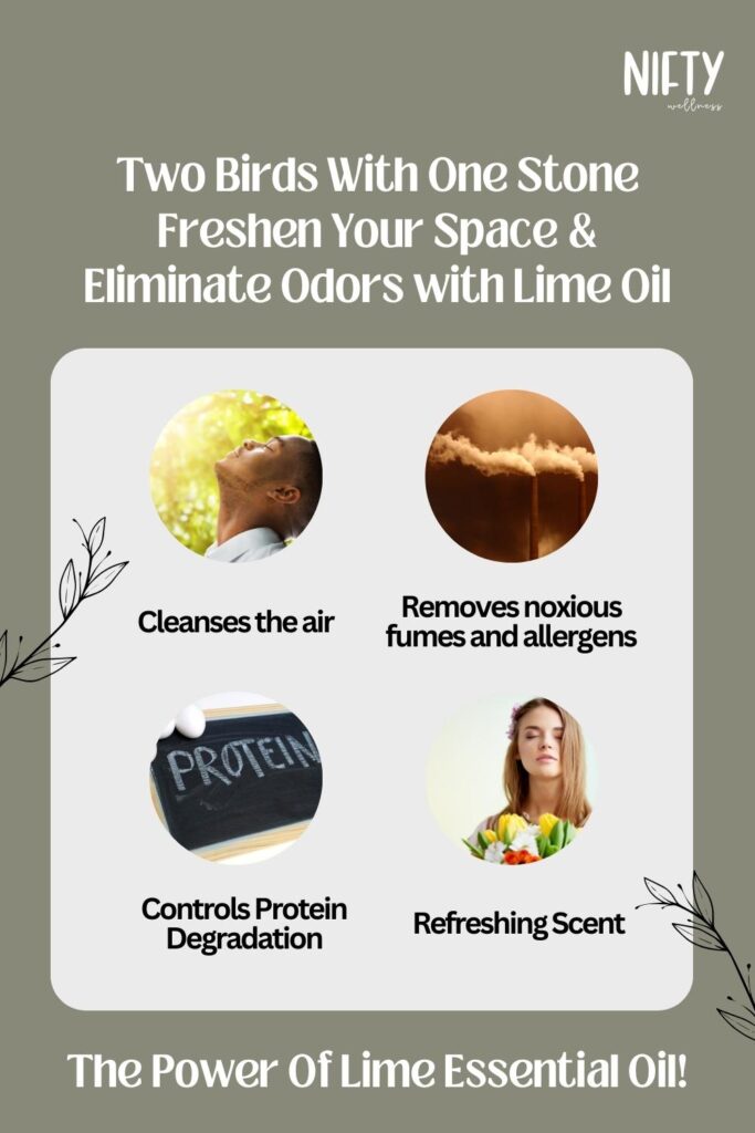 Two Birds With One Stone Freshen Your Space & Eliminate Odors with Lime Oil
