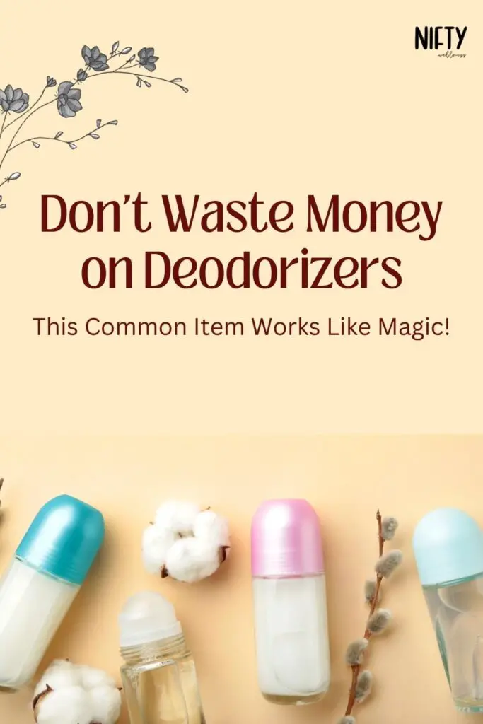 Don't Waste Money on Deodorizers