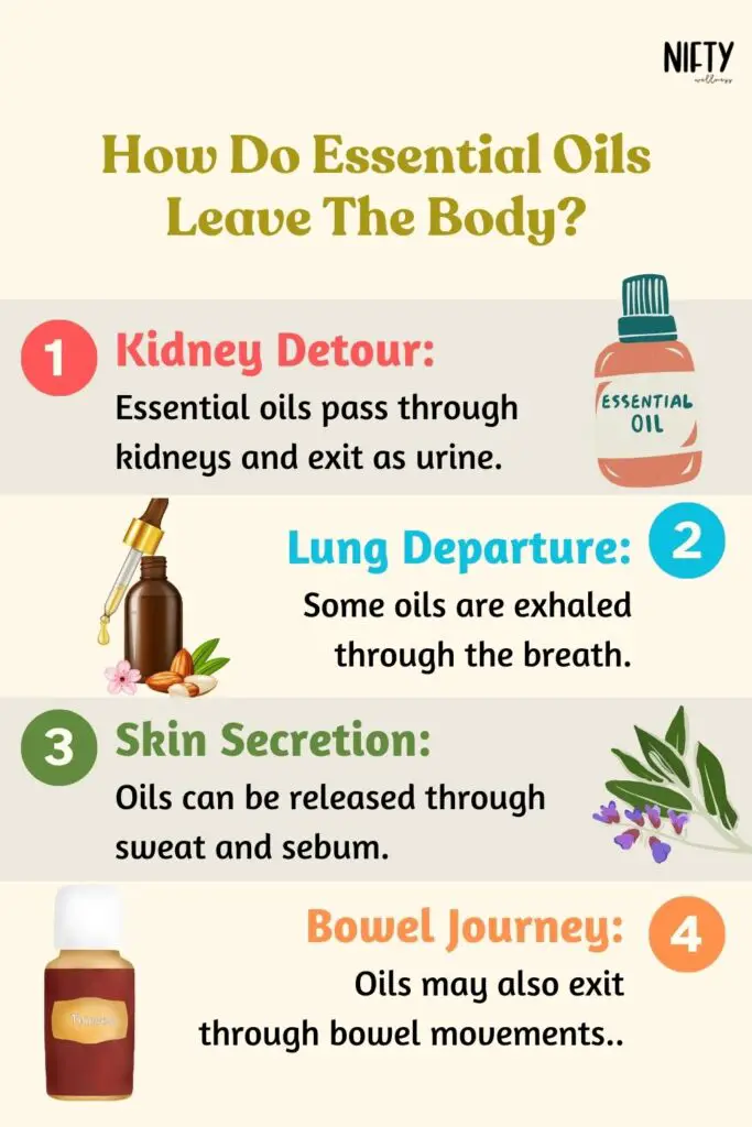 How Do Essential Oils Leave The Body?