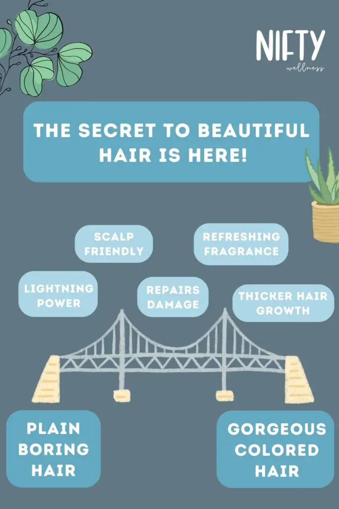 The Secret To Beautiful Hair is Here!