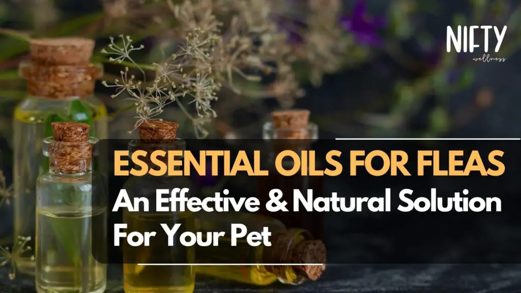 essential oils for fleas