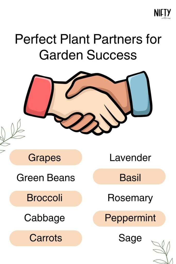 Perfect Plant Partners for Garden Success