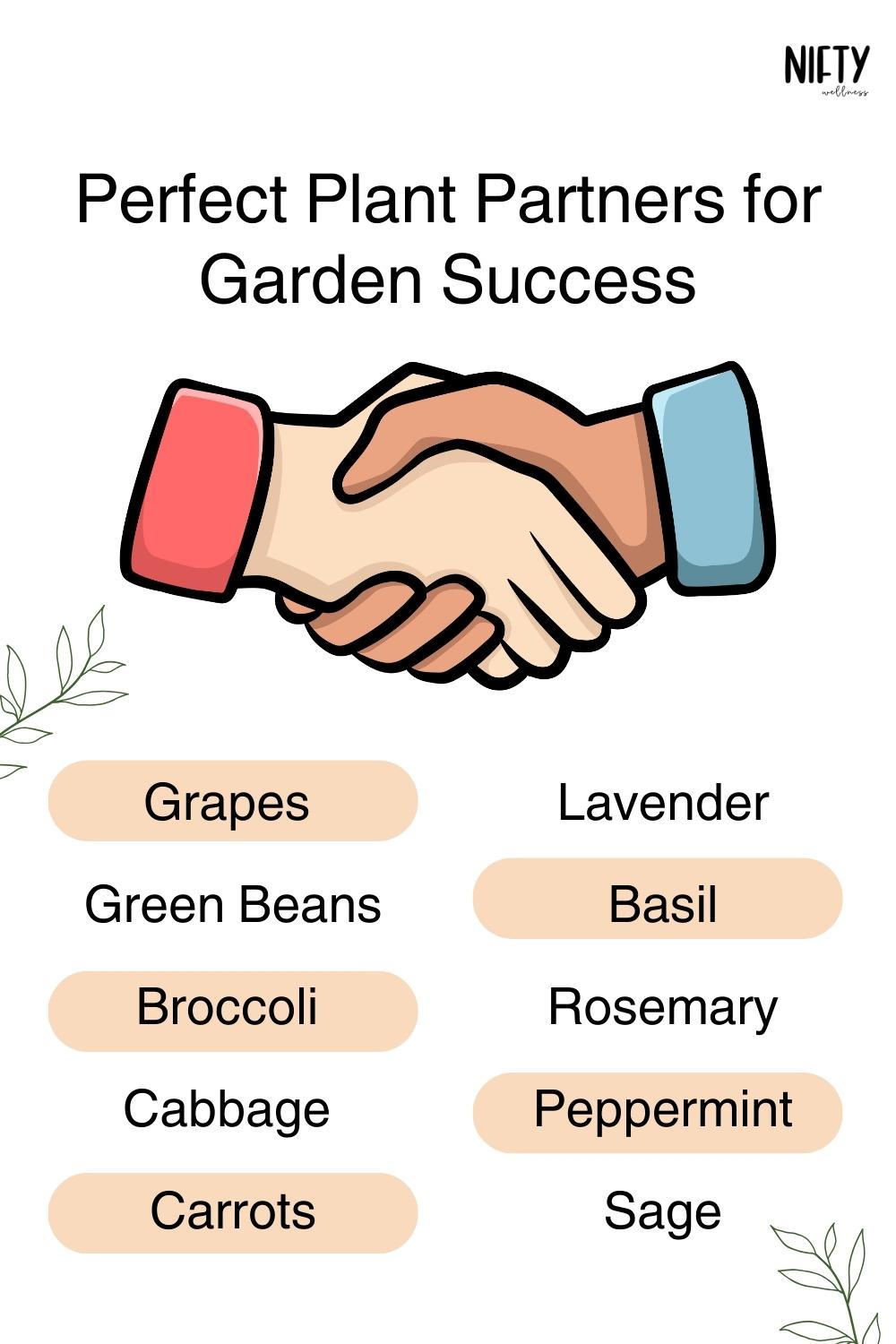 11+ Essential Oils For Plants Growth & More Nifty Wellness