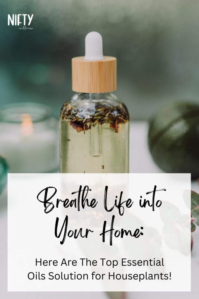 Breathe Life into Your Home: Here Are The Top Essential Oils Solution for Houseplants!
