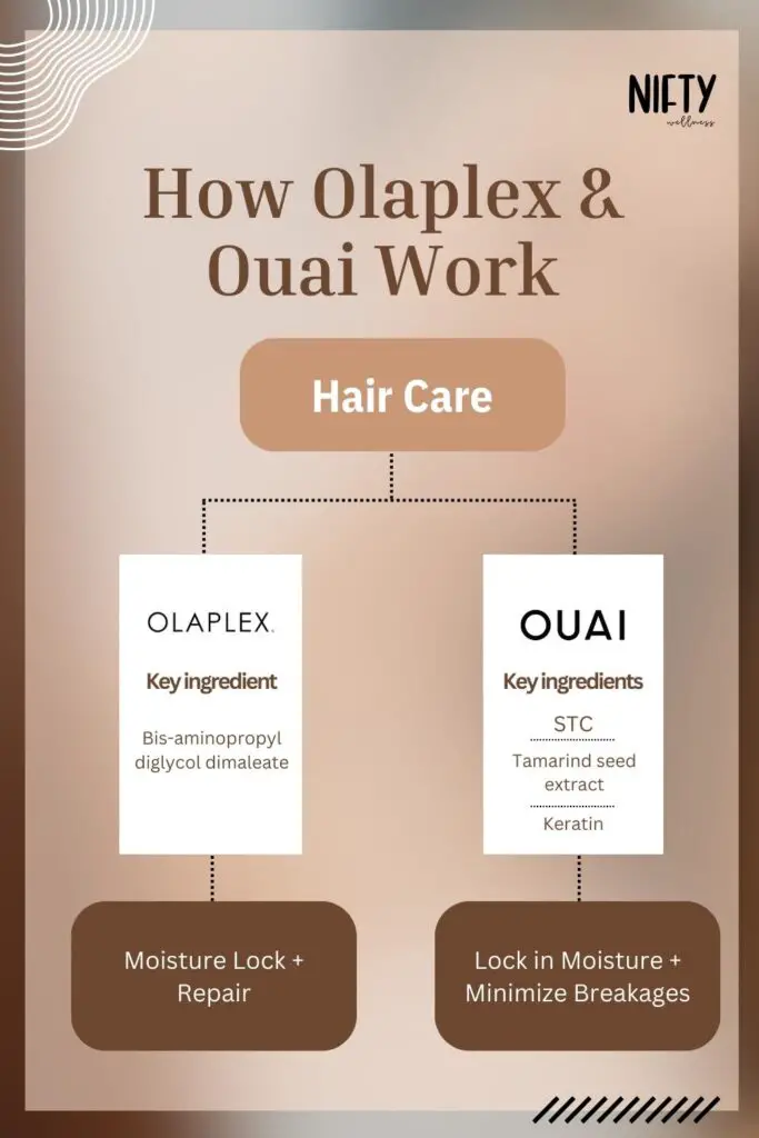 How Olaplex & Ouai Work